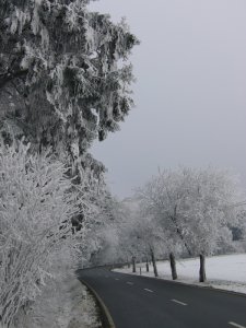 Farnost Jihlava - Adventní zastavení s country