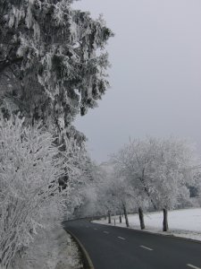 Farnost Jihlava - Adventní zastavení s country