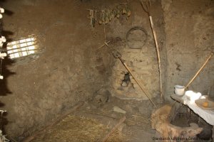 img_5843